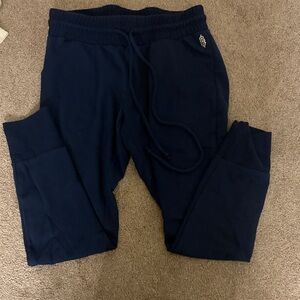 Free People Navy Blue Jogger Sweatpants